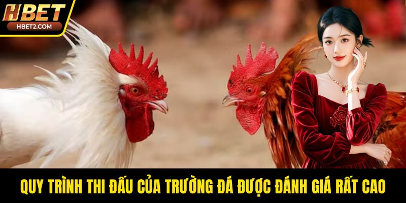 Quy trình thi đấu của trường đá được đánh giá rất cao