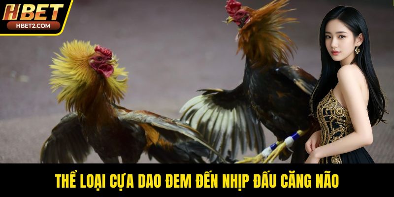 Thể loại cựa dao đem đến nhịp đấu căng não